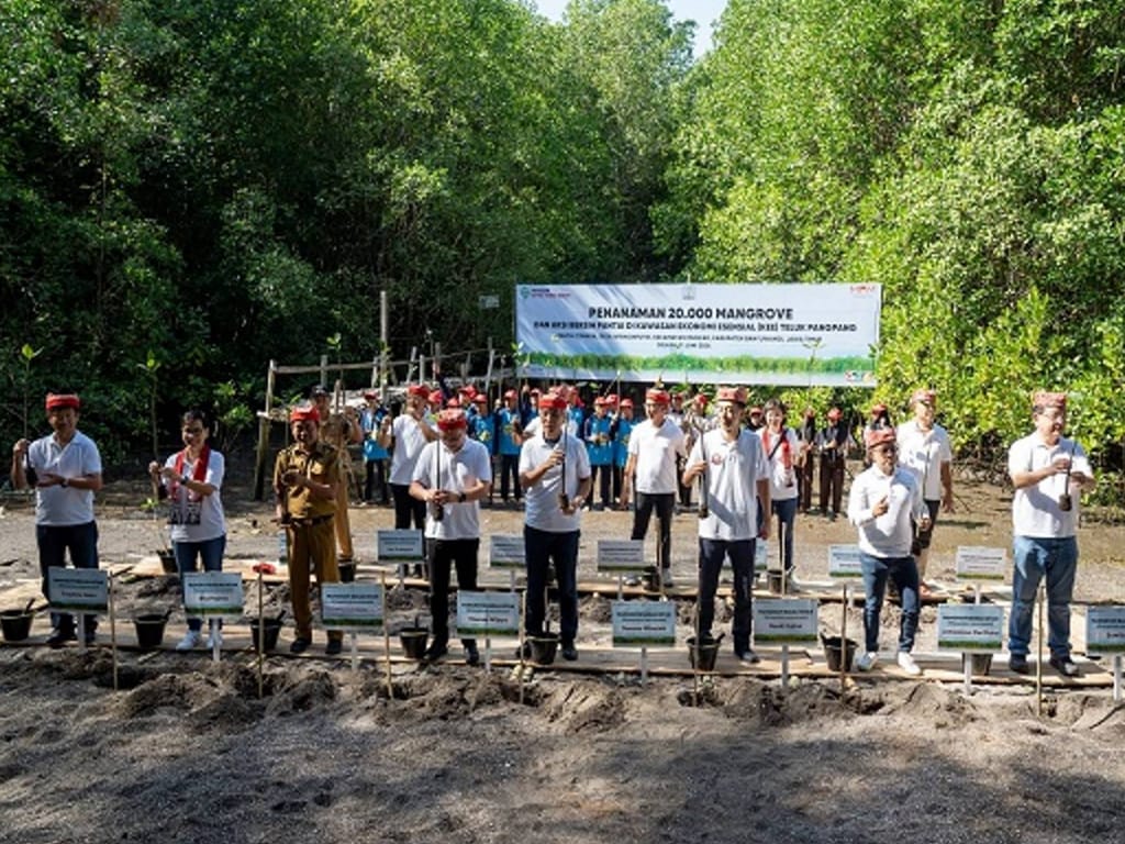 Peringati Hari Lingkungan Hidup Sedunia, Yayasan AHM Tanam Puluhan Ribu Mangrove